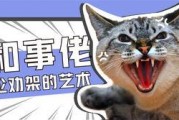 娱乐吃瓜君和罗小猫,揭秘娱乐圈背后的趣味故事